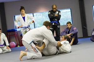 Aqueous Brazilian Jiu Jitsu and Fitness Center image