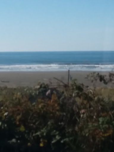 Convenience Store «Moclips Country Store», reviews and photos, 4785 WA-109, Moclips, WA 98562, USA