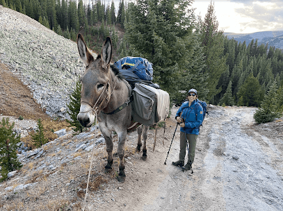 Climax Revival | Backcountry Adventures of Colorado