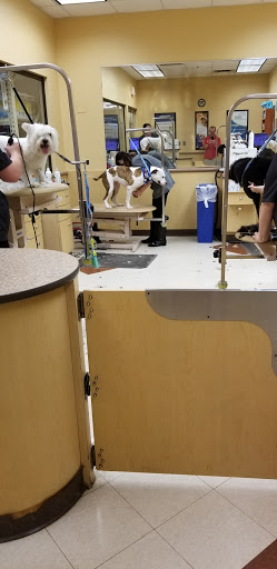 Pet Supply Store «PetSmart», reviews and photos, 26063 Great Northern Shop Center, North Olmsted, OH 44070, USA