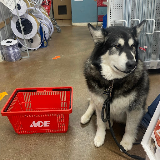 Hardware Store «Evergreen Park Ace Hardware», reviews and photos, 3404 95th St, Evergreen Park, IL 60805, USA