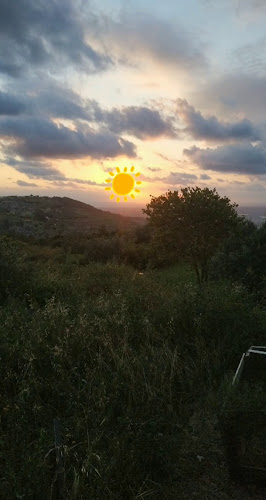 Opinii despre נוף במנוף în מנוף - אדריכל