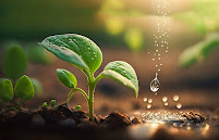 Urban Nature - Photo 6 - Car repair in Memphis, TN, Memphis