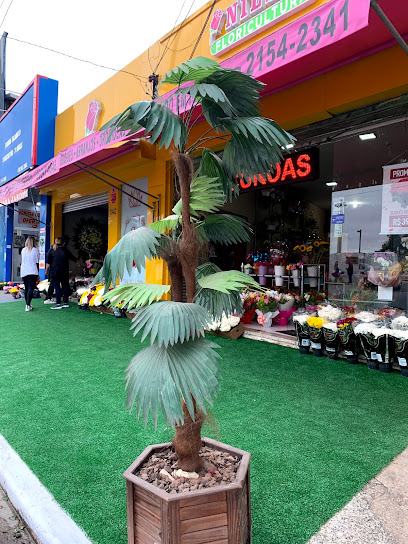 FORMOSA FLORES - Floricultura Vila Formosa São Paulo