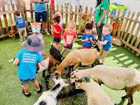 Global Minds Preschool - Photo 2 - Car repair in Scottsdale, AZ, Scottsdale