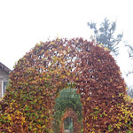 Photo n°4 de l'avis de Local.u fait le 29/08/2022 à 04:13 sur le  Schloss Eckberg à Dresden