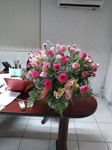 Zafhyra Teruel floreria florería en  en la zona Zona Centro