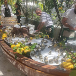 Photo n°1 de l'avis de Lino.a fait le 19/04/2024 à 20:51 sur le  Don Salvatore à Monte di Procida