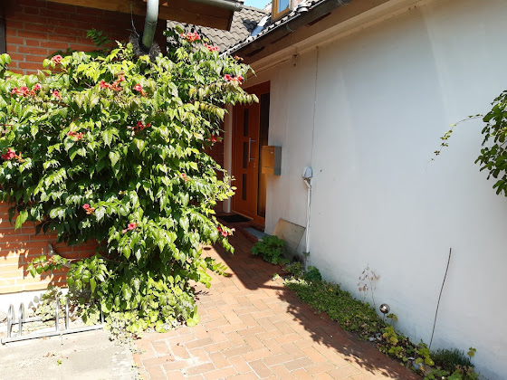 Extérieur Ferienwohnung Ferienwohnung Langer Rehm 24226 Heikendorf