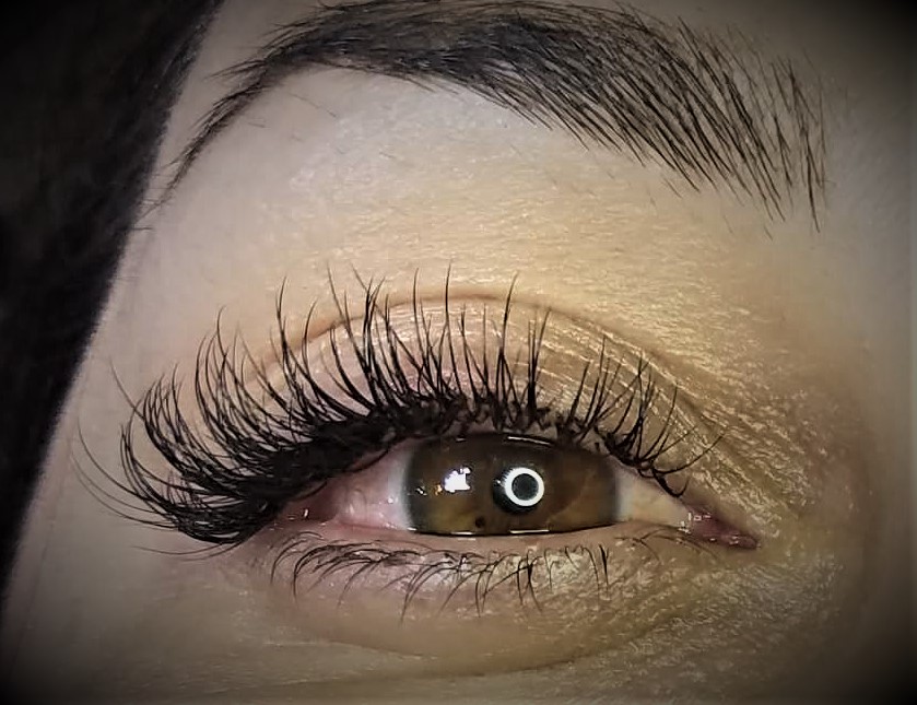 Geer Lash Studio 91750
