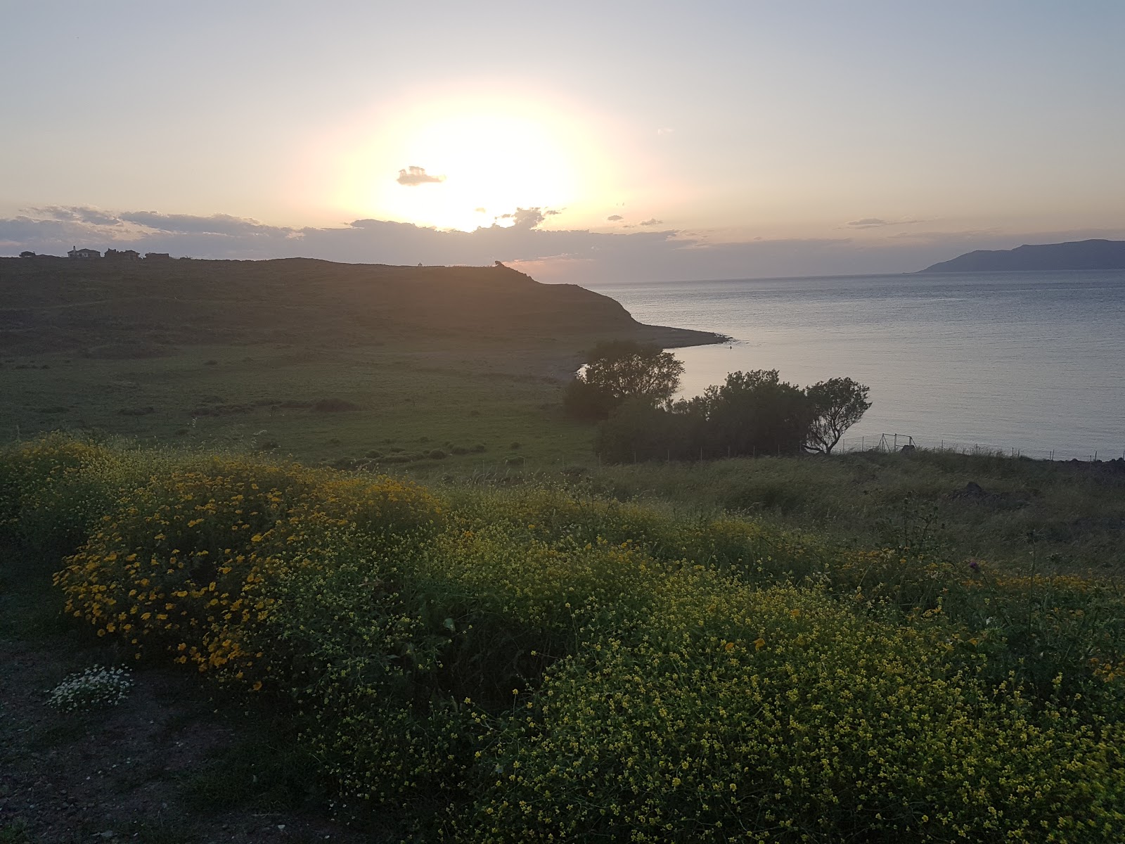 Lighthouse beach'in fotoğrafı #44 ile birlikte