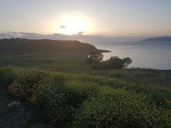 Lighthouse beach'in fotoğrafı #44 ile birlikte