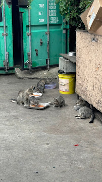 Somet Truck Center - Photo 4 - Car repair in Elizabeth, NJ, Elizabeth