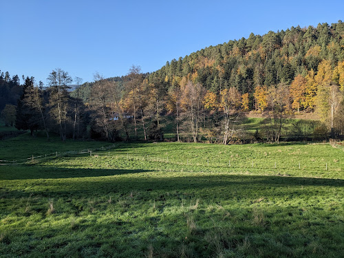 attractions Château du Freudeneck Wangenbourg-Engenthal