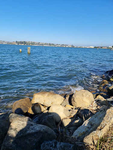 Dunedin Windsurfing Association