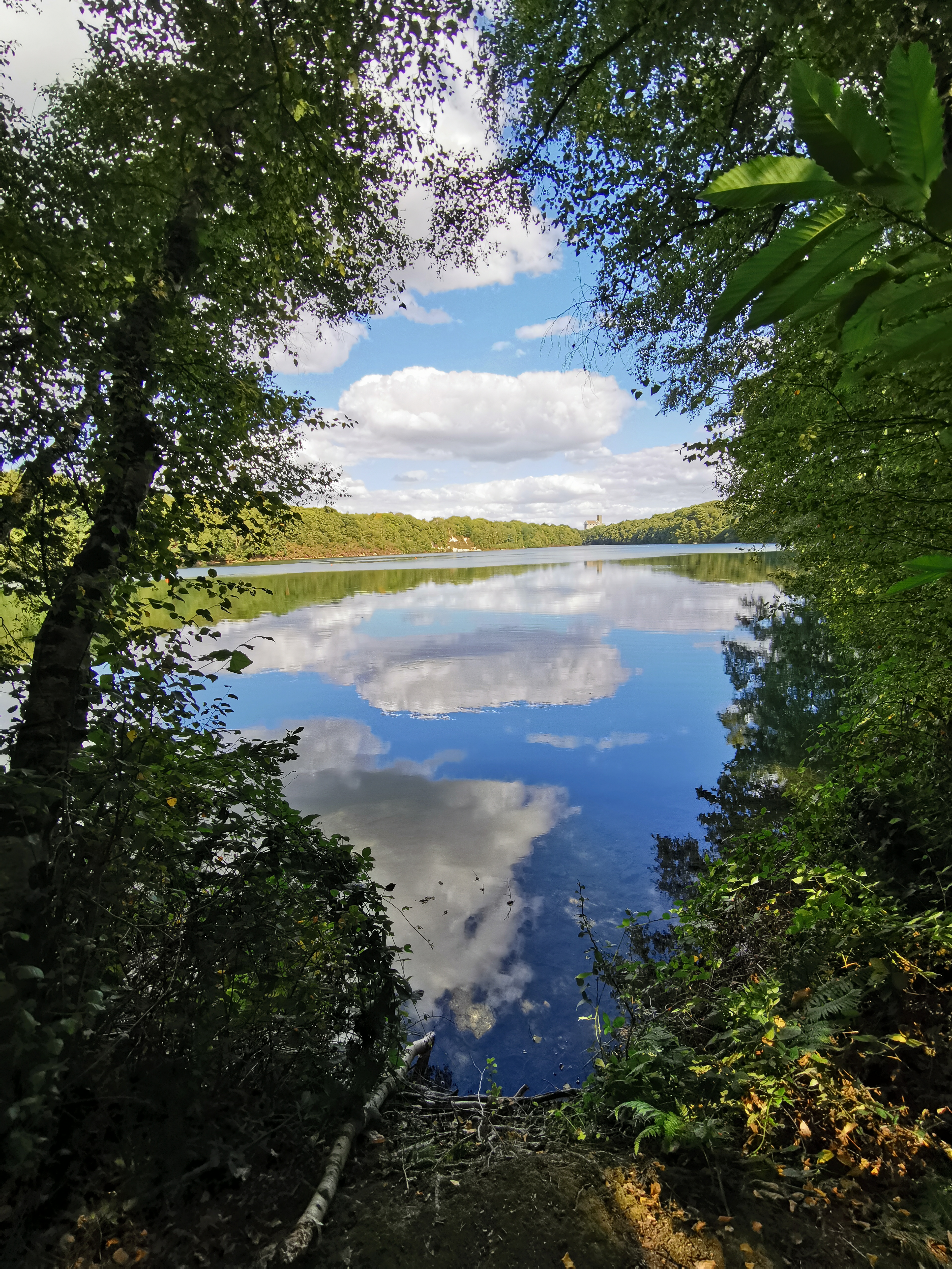 Photo n° 1 de l'avis de pascal. fait le 01/09/2019 à 15:19