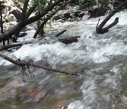 สวนลุงพร คลองมะเดื่อนครนายก photo