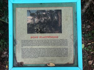 6 Acre Wood Park - photo 82