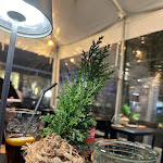 Photo n°7 de l'avis de teo.e fait le 24/02/2024 à 20:18 sur le  Scjavúru Reustarant & Pizza à Palermo