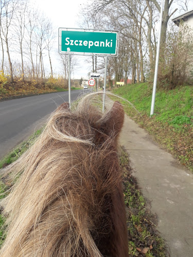 Kujawsko - Pomorski Związek Hodowców Koni