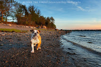Beyond the Fence Photography - Photo 9 - Car repair in , Lowell