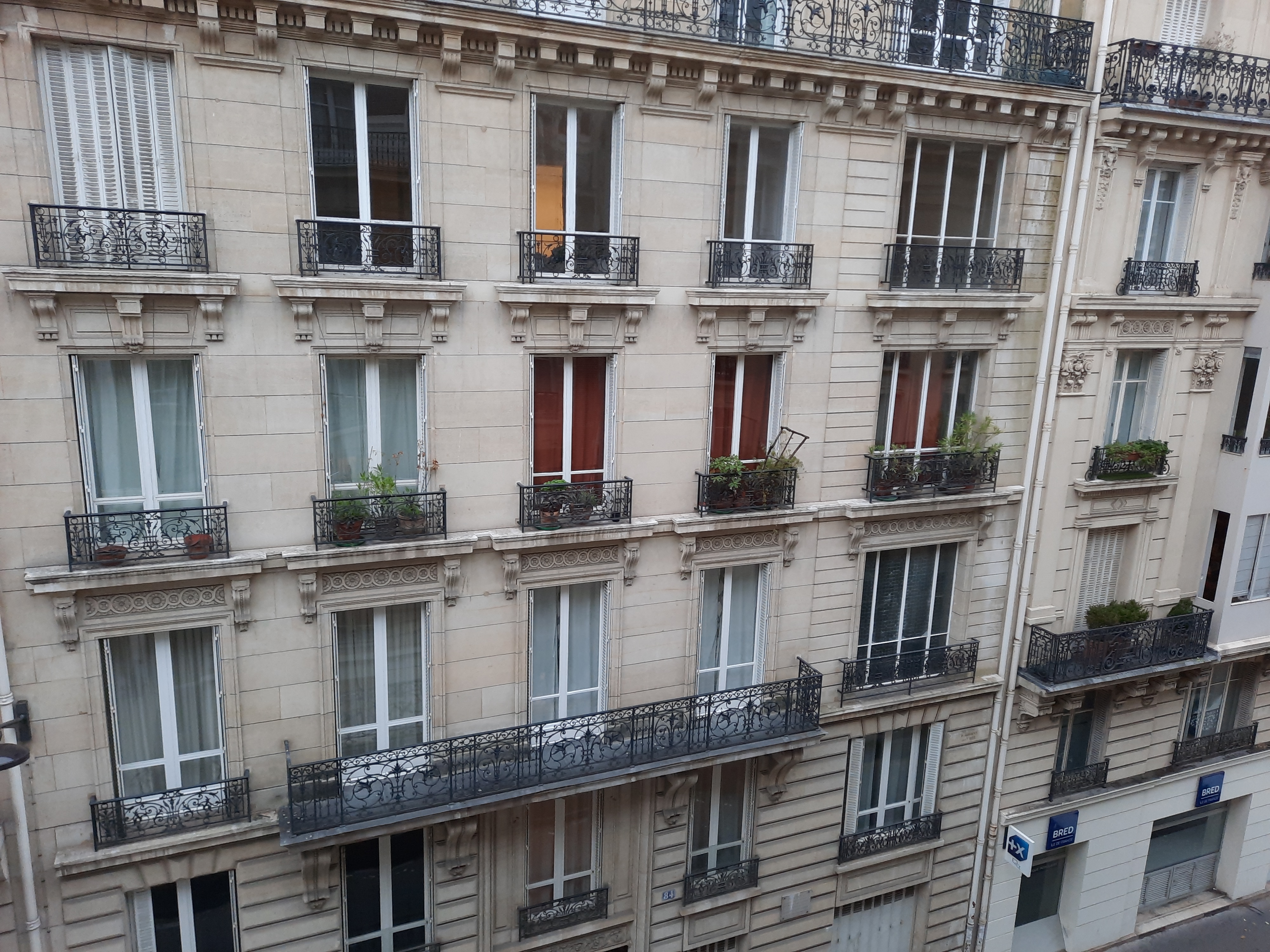 Photo n° 3 de l'avis de merleau. fait le 21/11/2021 à 23:12