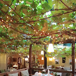 Photo n°1 de l'avis de Rosmarie.l fait le 11/10/2021 à 17:26 sur le  Schurk Markelsheim Weinlauben Restaurant à Bad Mergentheim