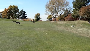Bountiful Golf Club - photo 39