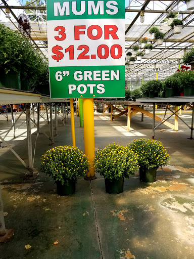 Florist «Dutch & Olgas Greenhouse», reviews and photos, 1285 NJ-36, Hazlet, NJ 07730, USA