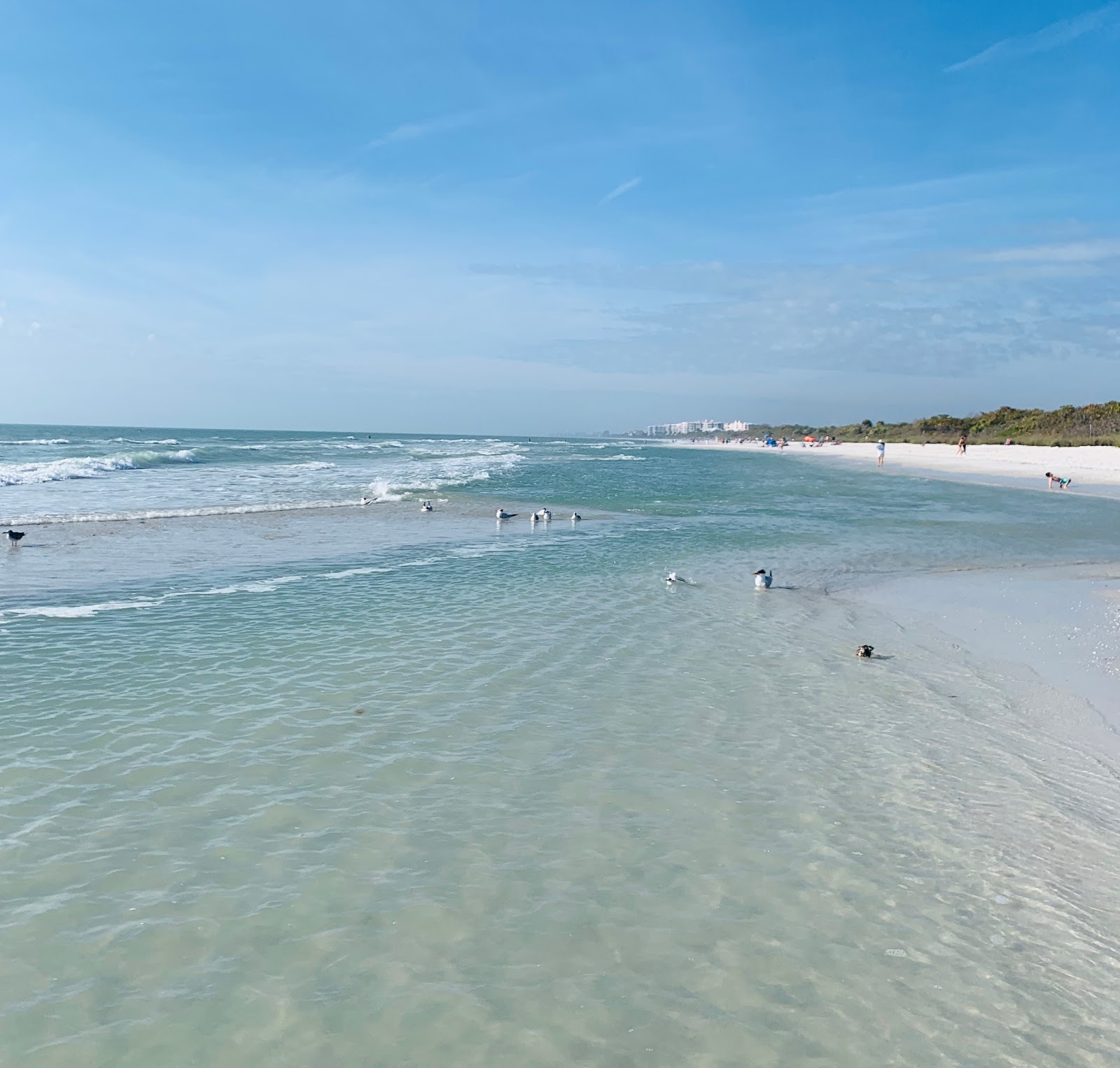 Foto di Barefoot beach con molto pulita livello di pulizia