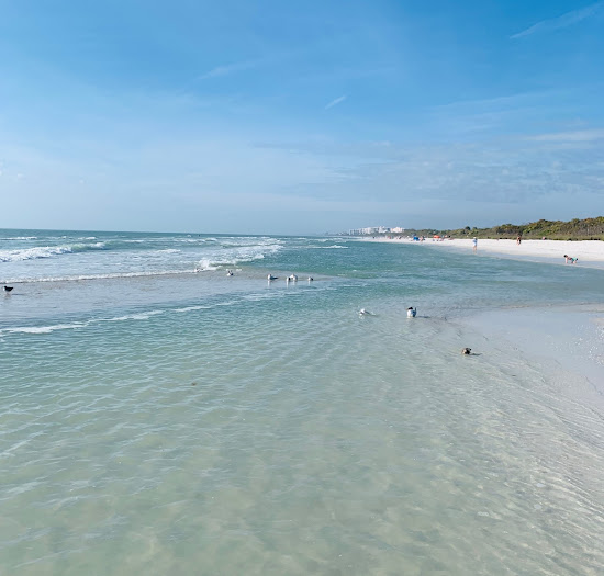 Barefoot beach