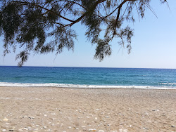 Galini beach'in fotoğrafı çok temiz temizlik seviyesi ile