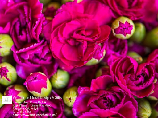 Florist «Ambience Floral Design & Gifts», reviews and photos, 1249 Pleasant Grove Blvd #100, Roseville, CA 95678, USA