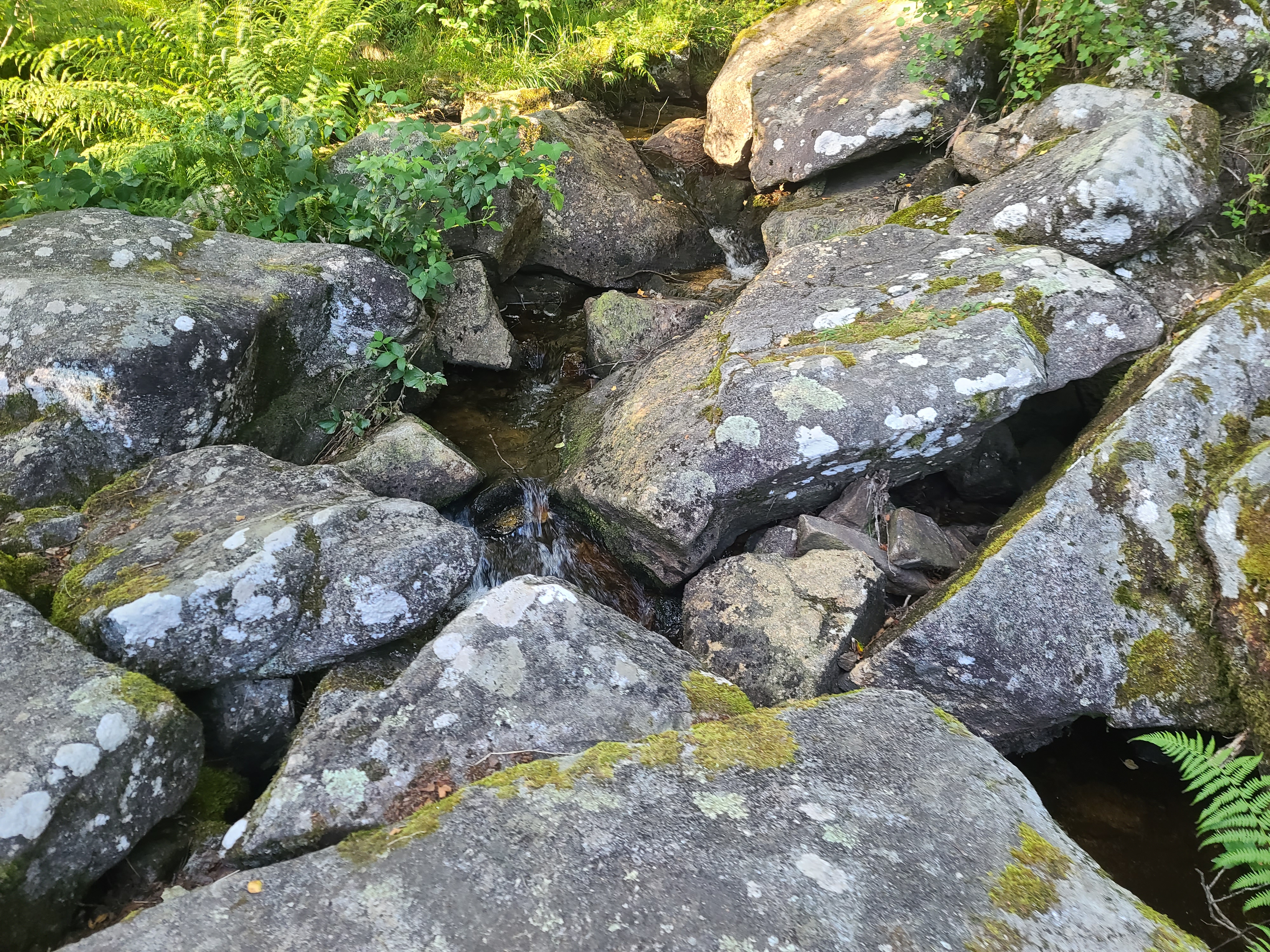 Photo n° 4 de l'avis de Astral. fait le 31/07/2023 à 22:08