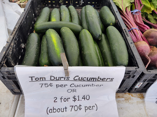 Pride Trails Services