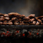 Photo n°5 de l'avis de Pierluigi.u fait le 14/05/2024 à 18:11 sur le  Trattoria al Moraro 1876 à Montecchio Precalcino