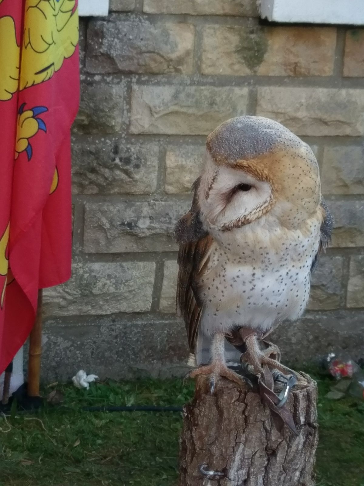Photo n° 1 de l'avis de Simon.a fait le 19/09/2017 à 07:43