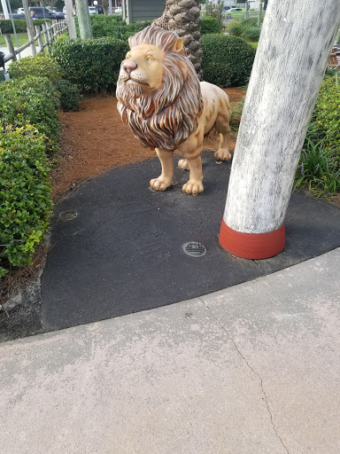 Tourist Attraction «Coconut Creek Family Fun Park», reviews and photos, 9807 Front Beach Rd, Panama City Beach, FL 32407, USA