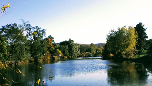 Millers Pond Park image 3