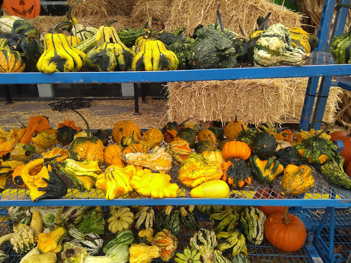 Florist «Metropolitan Plant & Flower», reviews and photos, 840 NJ-17, Paramus, NJ 07652, USA