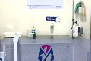 Vet Ypiranga Hospital & Pet Shop - Unidade Laranjeiras image