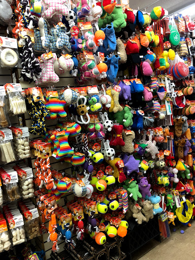 Variety Store «Dollar Store», reviews and photos, 384 Gratiot Ave, Charter Twp of Clinton, MI 48036, USA