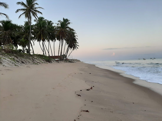 Marco Plage II