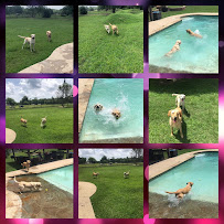 Bed Bath N Bonz - Photo 4 - Car repair in Tyler, TX, Tyler