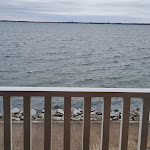 Photo n°12 de l'avis de Manuela.l fait le 30/08/2023 à 06:47 sur le  Dorfhotel Boltenhagen à Boltenhagen