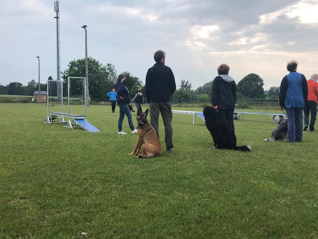Beoordelingen van K-Team Rescue Dog Belgium Asbl Asbl in Ottignies-Louvain-la-Neuve - Hondentrainer