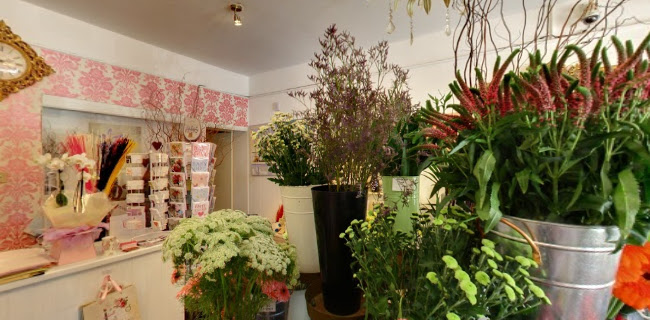 Reviews of Sarahkellys Flowerroom in Birmingham - Florist