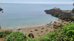 Le Pied du Mur (Marble Bay)'in fotoğrafı çok temiz temizlik seviyesi ile