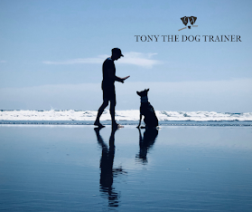 Tony the Dog Trainer