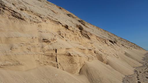 Tourist Attraction «Dune Climb», reviews and photos, 6748 S Dune Hwy, Glen Arbor, MI 49636, USA